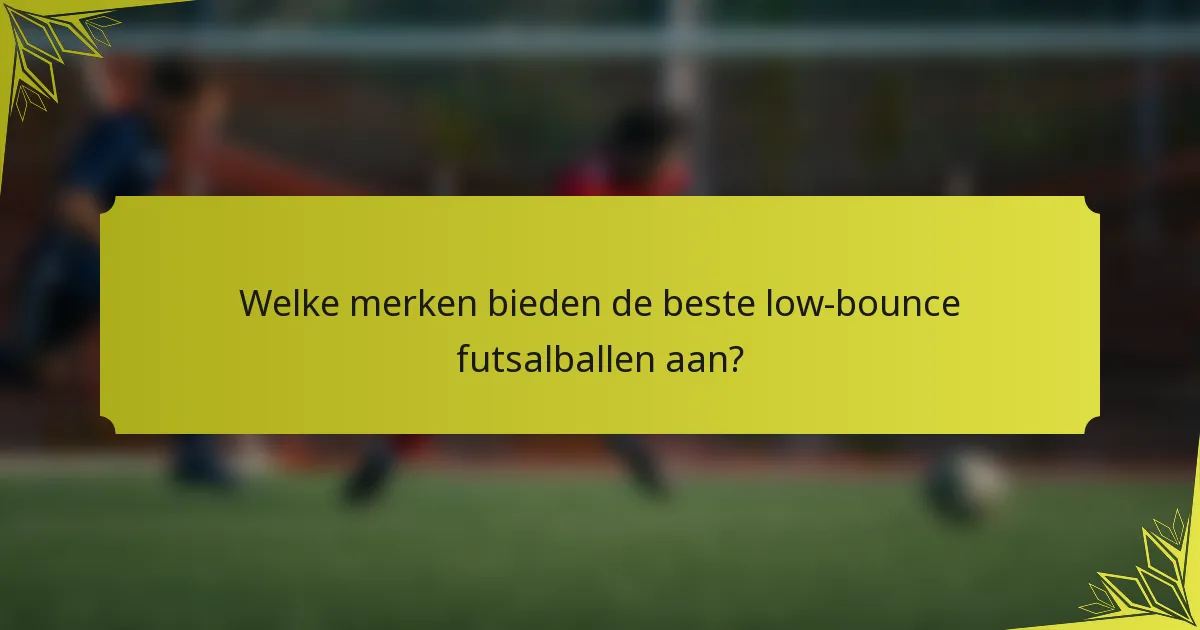 Welke merken bieden de beste low-bounce futsalballen aan?