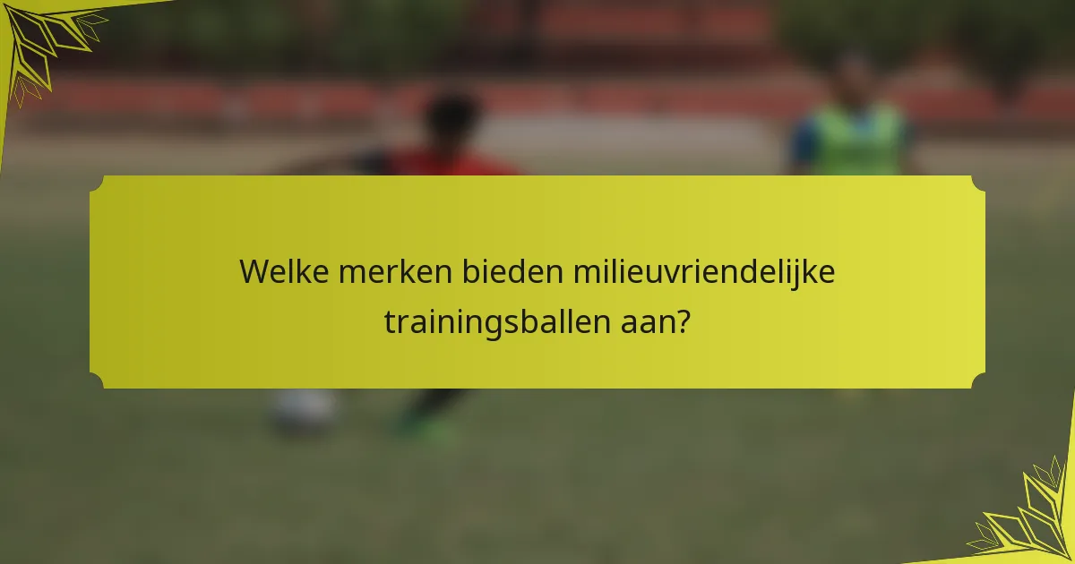 Welke merken bieden milieuvriendelijke trainingsballen aan?